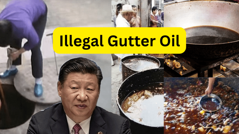 Illegal Gutter oil